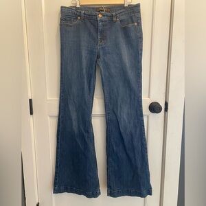 The Limited Flare Jeans